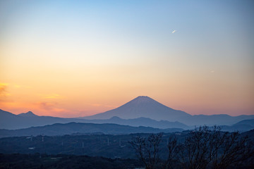 湘南平から眺める富士山