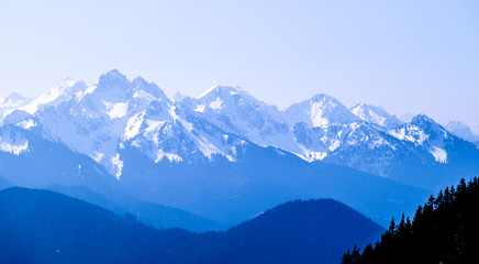 european alps