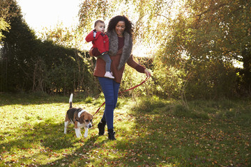 Naklejka na ściany i meble Mother With Child Taking Dog For Walk In Autumn Garden