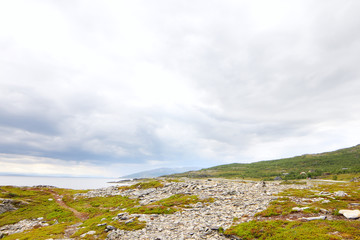 Northern Norwegian landscape