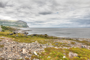Fototapeta na wymiar Northern Norwegian landscape