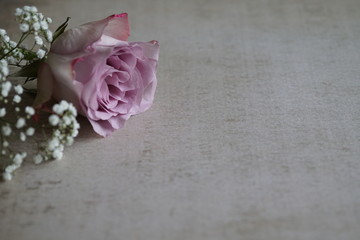 Vintage altrosa Rosen Komposition Text Freiraum