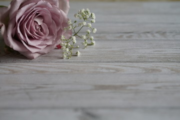 Vintage altrosa Rosen Komposition Text Freiraum