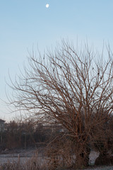 Sunrise in the hills