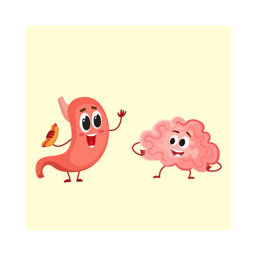 Cute and funny human stomach and brain characters, cartoon vector illustration isolated on white background. Healthy human stomach and brain characters, brain to stomach connection concept