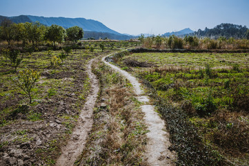 Obraz premium The countryside road scenery