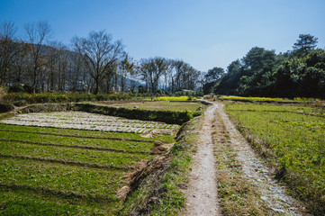 Obraz premium The countryside road scenery