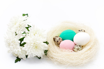 nest with colored eggs, quail eggs and chrysanthemum flower on a white background.