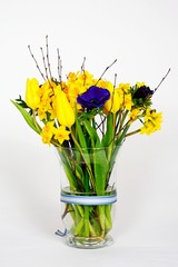 Bouquet of flowers with yellow tulips and daffodils against a white background.