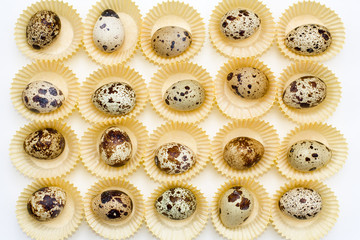 quail eggs in the paper forms for cooking muffin on a white background.