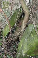 Obraz premium stones in the Old Jewish Cemetery