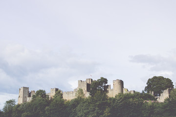 Fototapeta premium castle and sky
