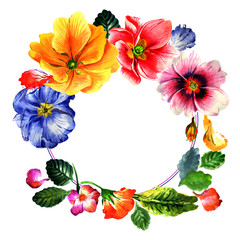 Wildflower Primrose flower wreath in a watercolor style isolated.