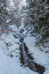 Snow covered trees and waterfall on an early winter morning
