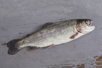 fresh, Trout fishing, river trout, Raimbox breed wild trout