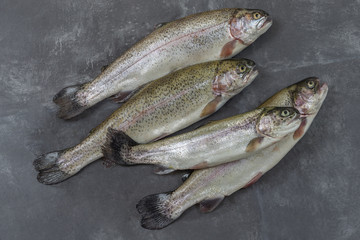 Trout freshly caught in a white colander with one outside