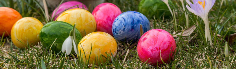 Bunte Ostereier Panorama