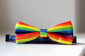 Rainbow-coloured bowtie representing LGBT rights