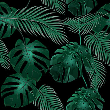 Tropical palm leaves. Jungle thickets. Seamless floral pattern. Isolated on a black background. illustration