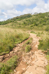Trail at Fortaleza Canyon
