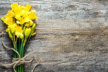 Spring backgrounds, easter daffodils on wood