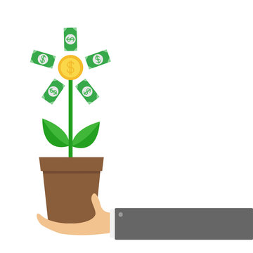 Businessman hand holding Growing paper money tree big shining coin with dollar sign Plant in the pot. Financial growth concept. Successful business icon. Flat design. White background. Isolated.