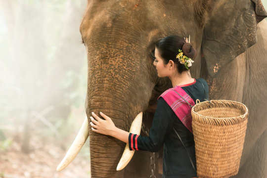 The lives of countryside women with elephant in the forest.