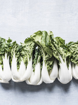 Studio shot, overhead view with row of pak choi