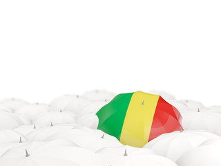 Umbrella with flag of republic of the congo