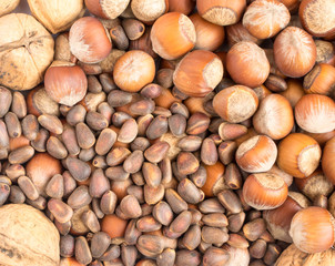 Collection of Walnuts and Hazelnuts in Shell