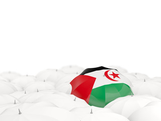 Umbrella with flag of western sahara