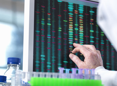 DNA Research, Scientist viewing DNA test results on a computer screen in the laboratory with a tray of samples in the fore ground