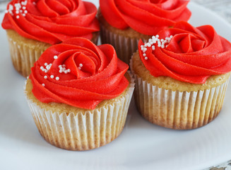 Vanilla cupcakes decorated with a red rose from a cream on a white background