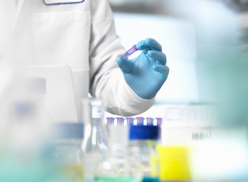  Life Science, scientist holding a sample in a eppendorf vial during an experiment in the laboratory