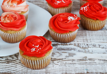 Vanilla cupcakes decorated with a red rose from a cream on a white background