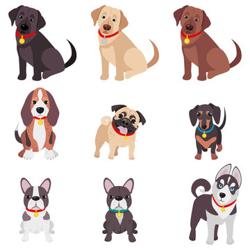 Vector illustration, set of funny purebred dogs, on a white background. Different type of cartoon dogs.