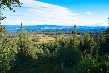 view from a mountain near to Trondheim