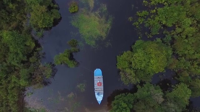 Amazon rainforest Brazil