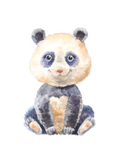 watercolor panda isolated. Pretty cute pet. Zoo illustration.