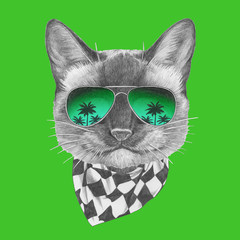 Portrait of Siamese Cat with mirror sunglasses and scarf. Hand-drawn illustration.