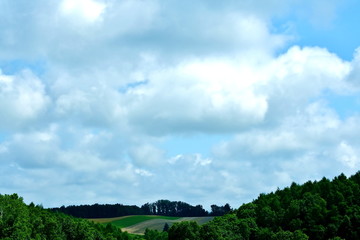The hills of farm and the cloud of Biei

