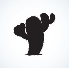 Cactus. Vector drawing