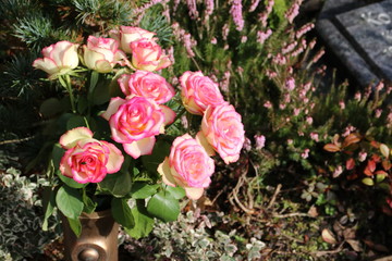 Friedhofsvase mit rosa Rosen auf einem Grab