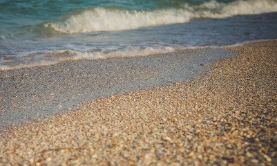 Fototapeta na wymiar Beach, sea, shells