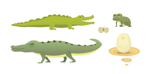 Cute Crocodile set. Aligator vector cartoon illustration