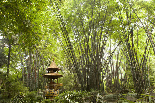 Pagoda in green bamboo forest, Wang jiang lou park, Chengdu, Sichuan, China