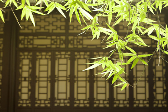 Bamboo leaves and asian style window, Wang jiang lou park, Chengdu, Sichuan, China