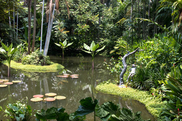 Teich im botanischen Garten Singapur