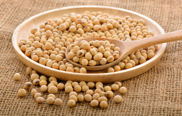 dried soybean on wooden spoon