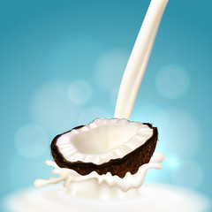 Realistic illustration of coconut and milk splashes. Vector.